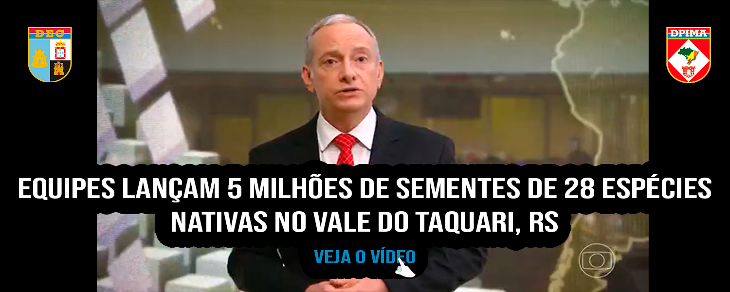 Equipes lançam 5 milhões de sementes de 28 espécies nativas no Vale do Taquari, RS